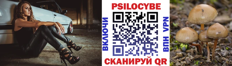 Галлюциногенные грибы Cubensis как найти Вытегра